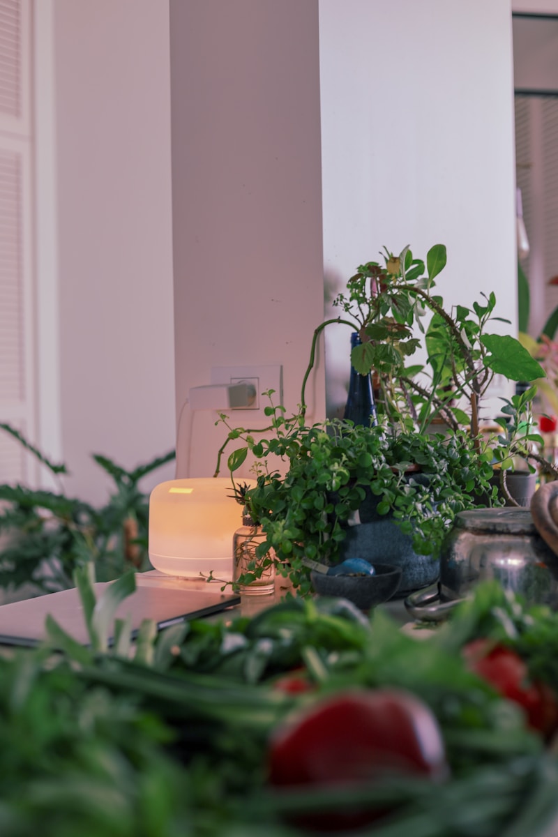 Purificateurs d’air : respirez un air plus sain à la maison